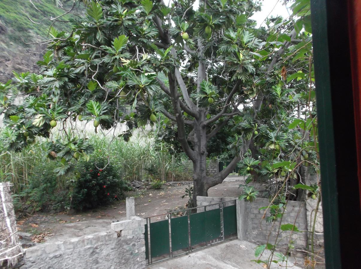 PaulMisurino住宿加早餐旅馆 外观 照片